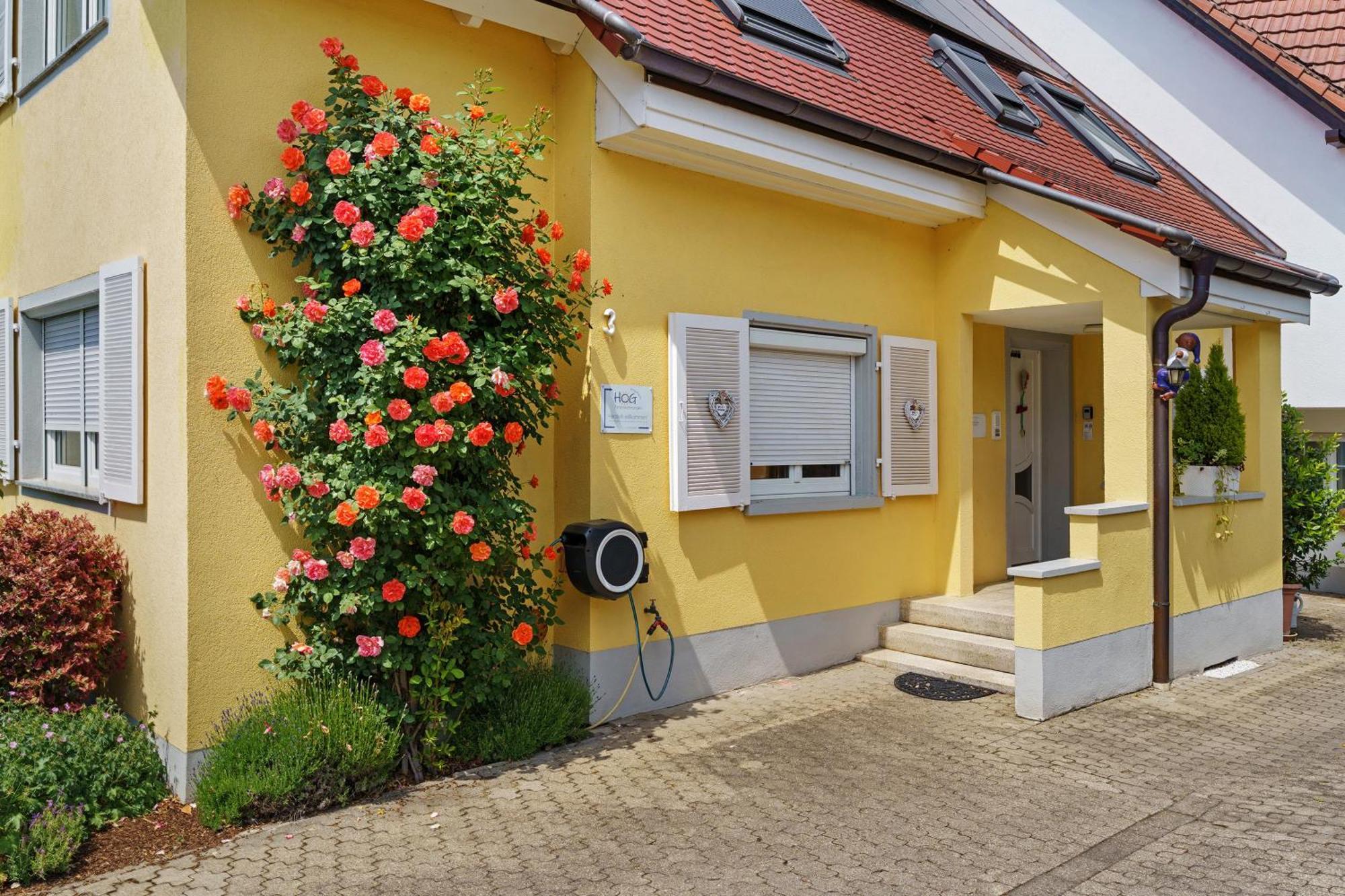 Ferienwohnungen Hog , Ringsheim Eksteriør billede